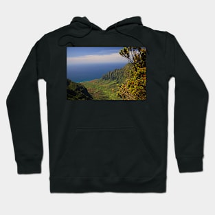 WGC_0766 Hoodie